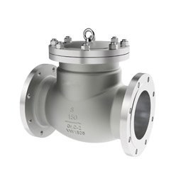 Titanium Check Valve