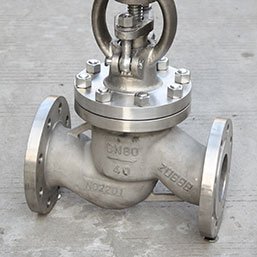 Nickel Globe Valve
