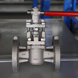 Nickel Plug Valve