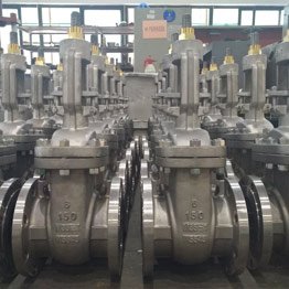 Monel Gate Valve