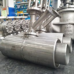 Hastelloy Discharge Valve