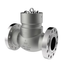 Hastelloy Check Valve