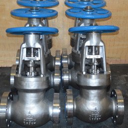 Hastelloy Globe Valve