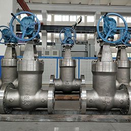 Hastelloy Gate Valve