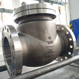 Duplex Check Valve