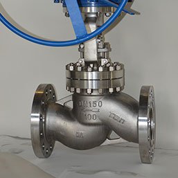 Duplex Globe Valve