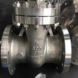 Duplex Gate Valve