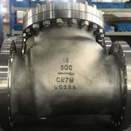 Super Austenitic Check Valve