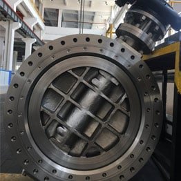 Super Austenitic Butterfly Valve