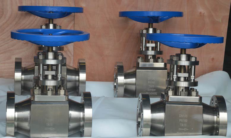 Titanium Globe Valve