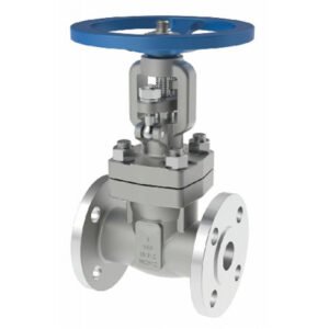 Titanium Gate Valve