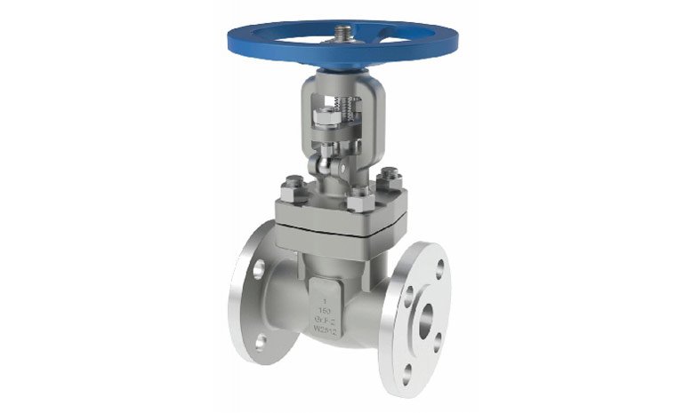 Titanium Gate Valve