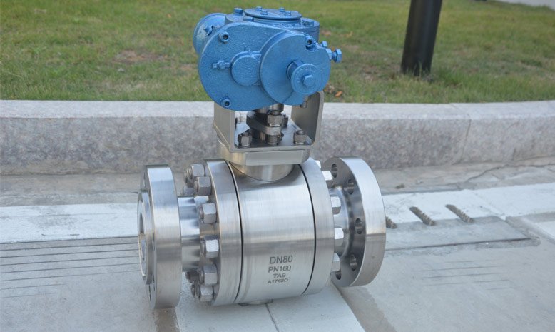 Titanium Ball Valve