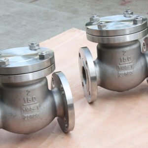 Monel Check Valve