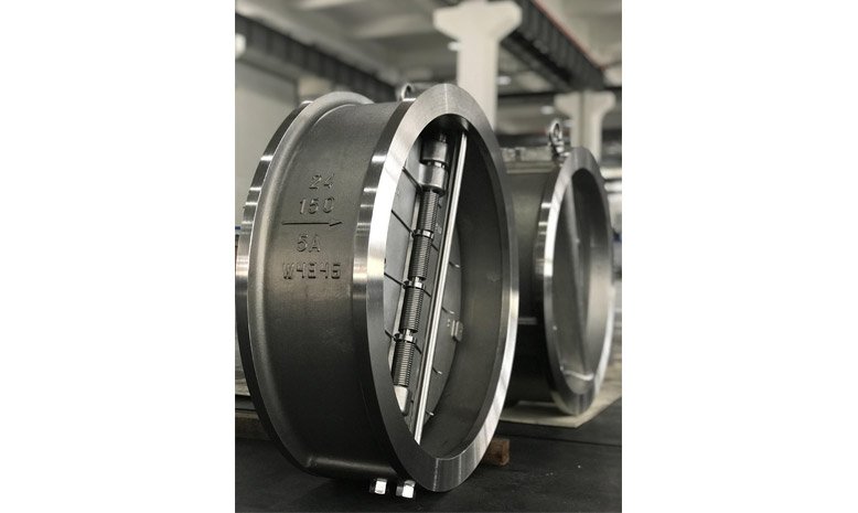 Duplex Check Valve