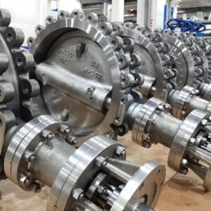 Duplex Butterfly Valve