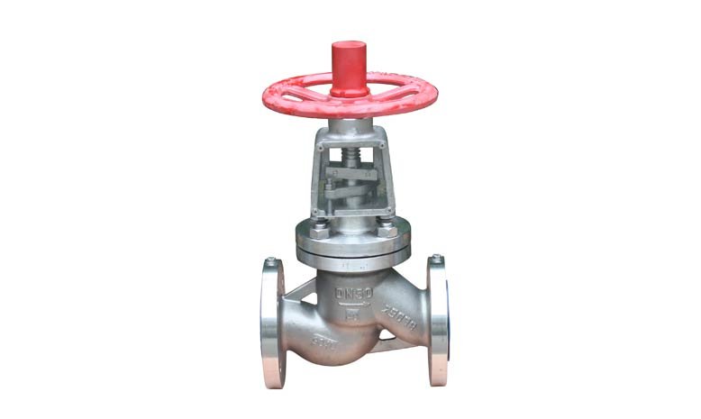 Super Austenitic Globe Valve
