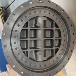 Tantalum Butterfly Valve