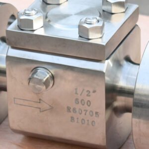Zirconium Check Valve