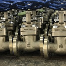 NAB C95800 Gate Valve