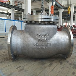 Stainless Steel Check Valve