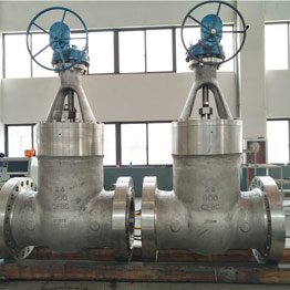 Stainless Steel Gate Valve