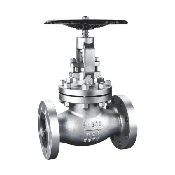 CF8 Stainless Steel Globe Valve WDL CF8 Stainless Steel Globe Valve