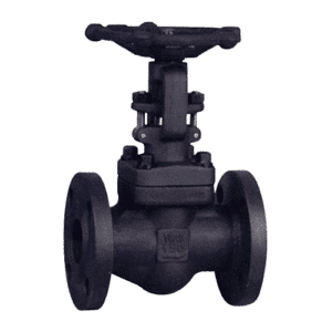 Globe Valves